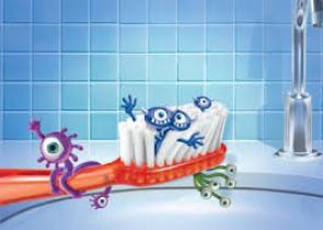 toothbrush bug does