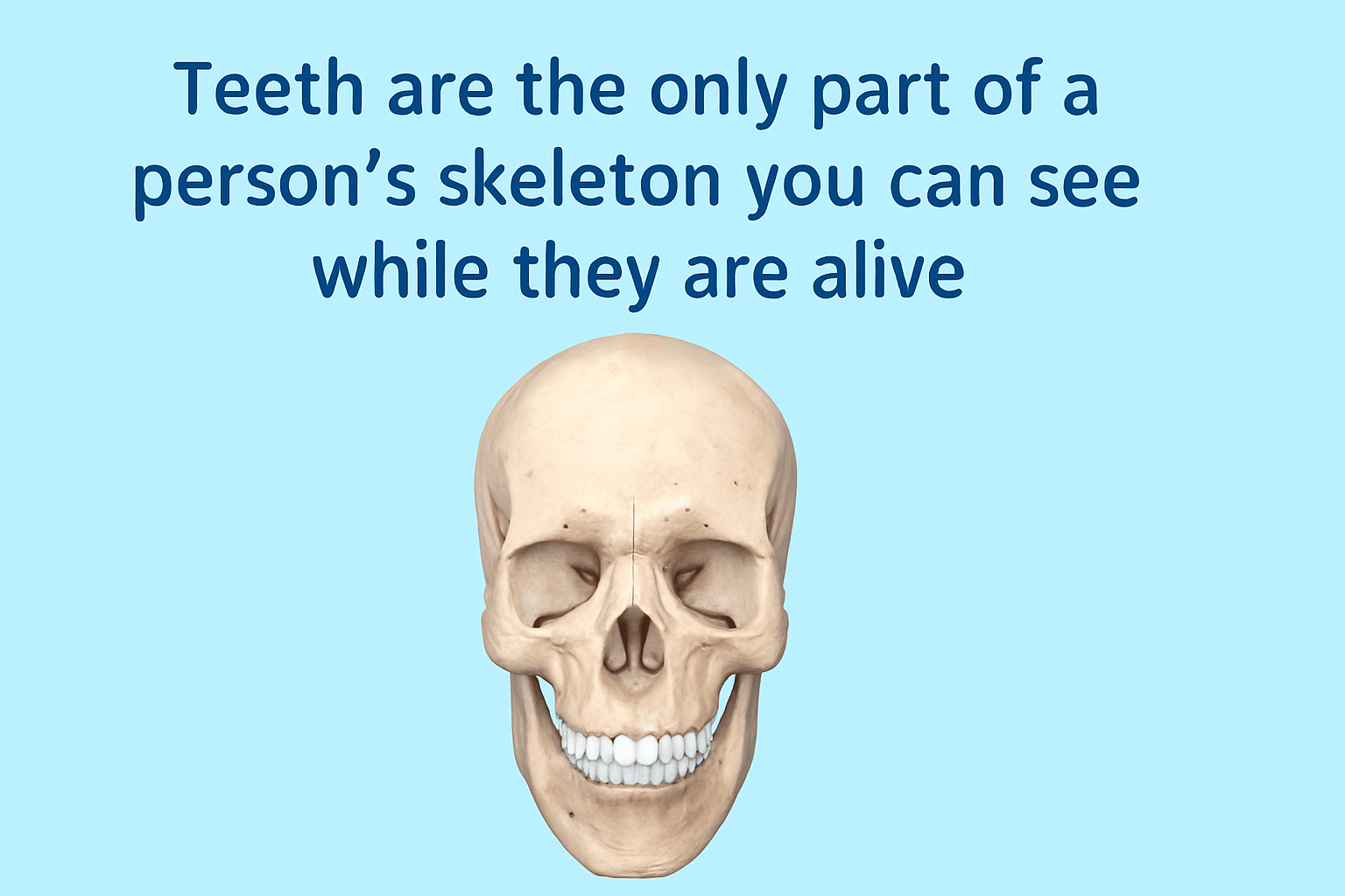 Visible Part of Your Skeleton: Weird Dental Fact About Teeth