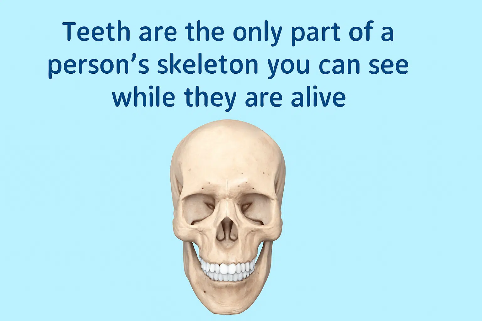 Teeth are the only part of a person’s skeleton you can see while they are alive.