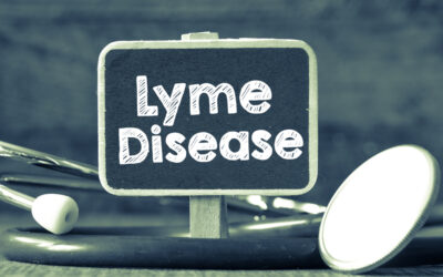 Dental Signs of Lyme Disease: What Every Patient Should Know