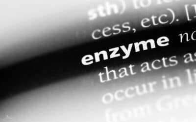 Best Digestive Enzyme Supplements: Improve Digestion Naturally
