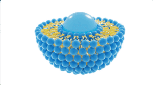 Medical 3D illustration of liposome bi-layer structure