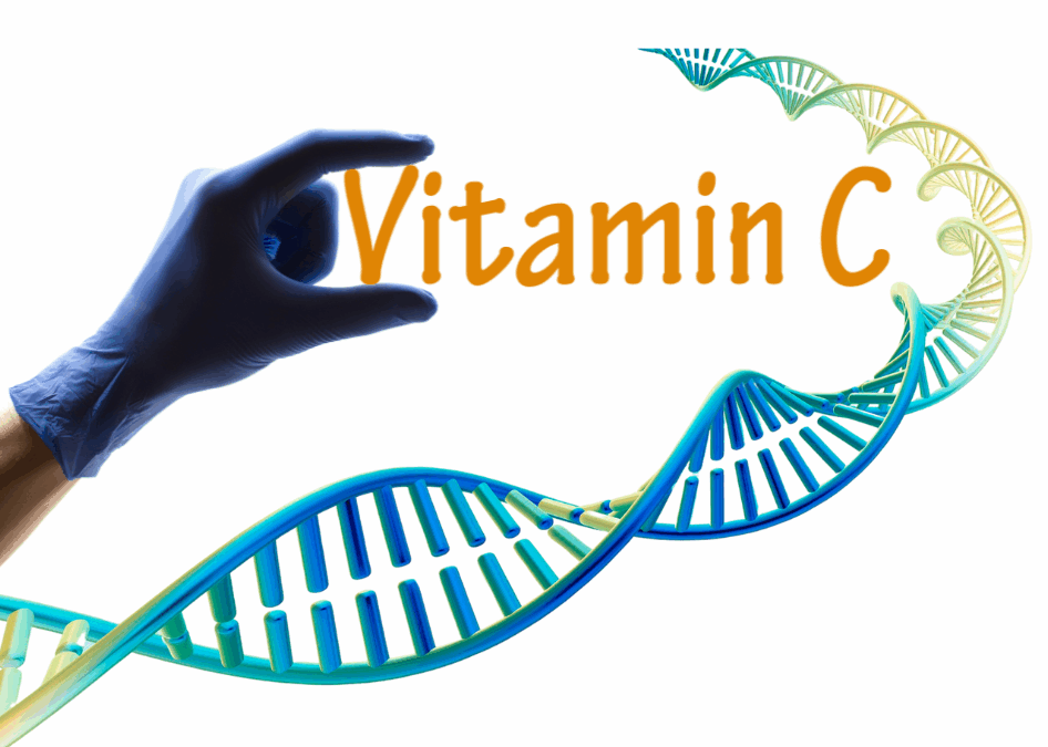 Why Humans Can’t Make Vitamin C + The Best Solution