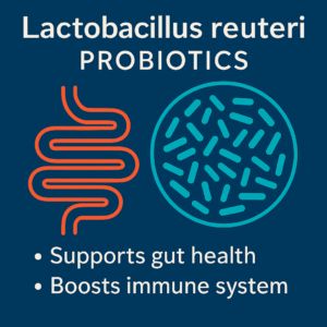 L reuteri yogurt benefits from Lactobacillus reuteri probiotics for gut and immune health