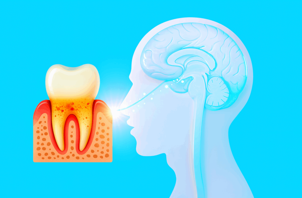 Digital medical illustration showing the connection between gum disease and brain health, with neural and vascular pathways linking healthy gums and teeth to a transparent brain on a blue background.