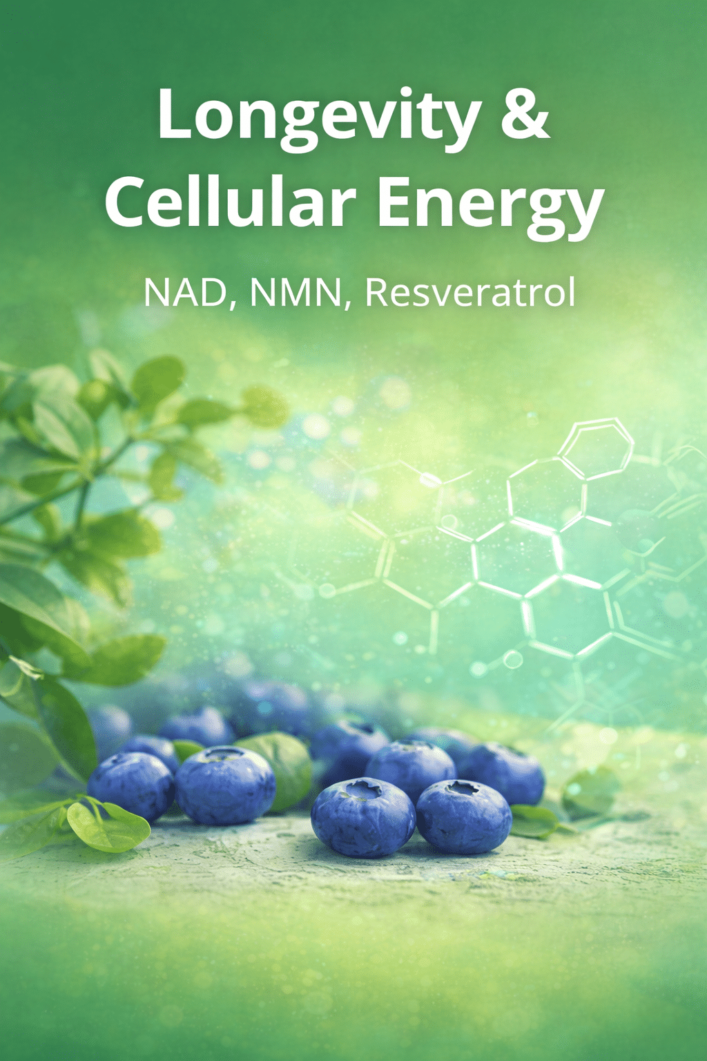 Longevity and cellular energy supplements featuring NAD, NMN, and resveratrol with blueberries and molecular background